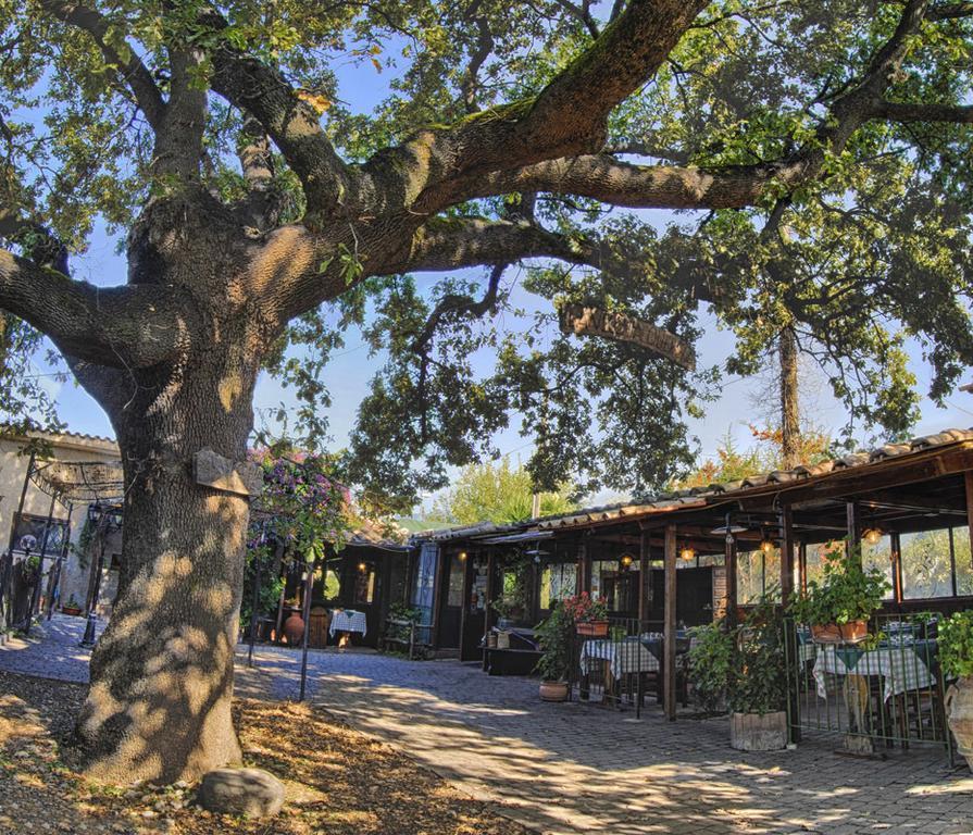 La Vecchia Quercia Bed & Breakfast Selci  Luaran gambar